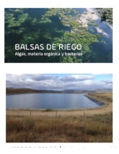 ELIMINA ALGAS DE BALSAS AGROTEQUIL PMG 50