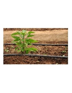 DESINCRUSTANTE GOTEROS HIERRO AGROTEQUIL FS