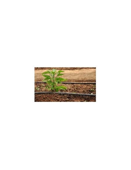 DESINCRUSTANTE GOTEROS HIERRO AGROTEQUIL FS DESINCRUSTANTE GOTEROS HIERRO AGROTEQUIL FS