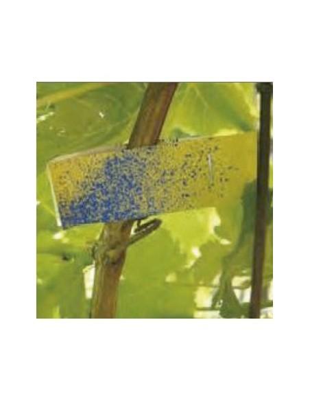 Papel Hidrosensible 76x26mm(50 Unidades)